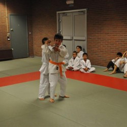 DSC 0084  Medium - Judoclub Zaventem 